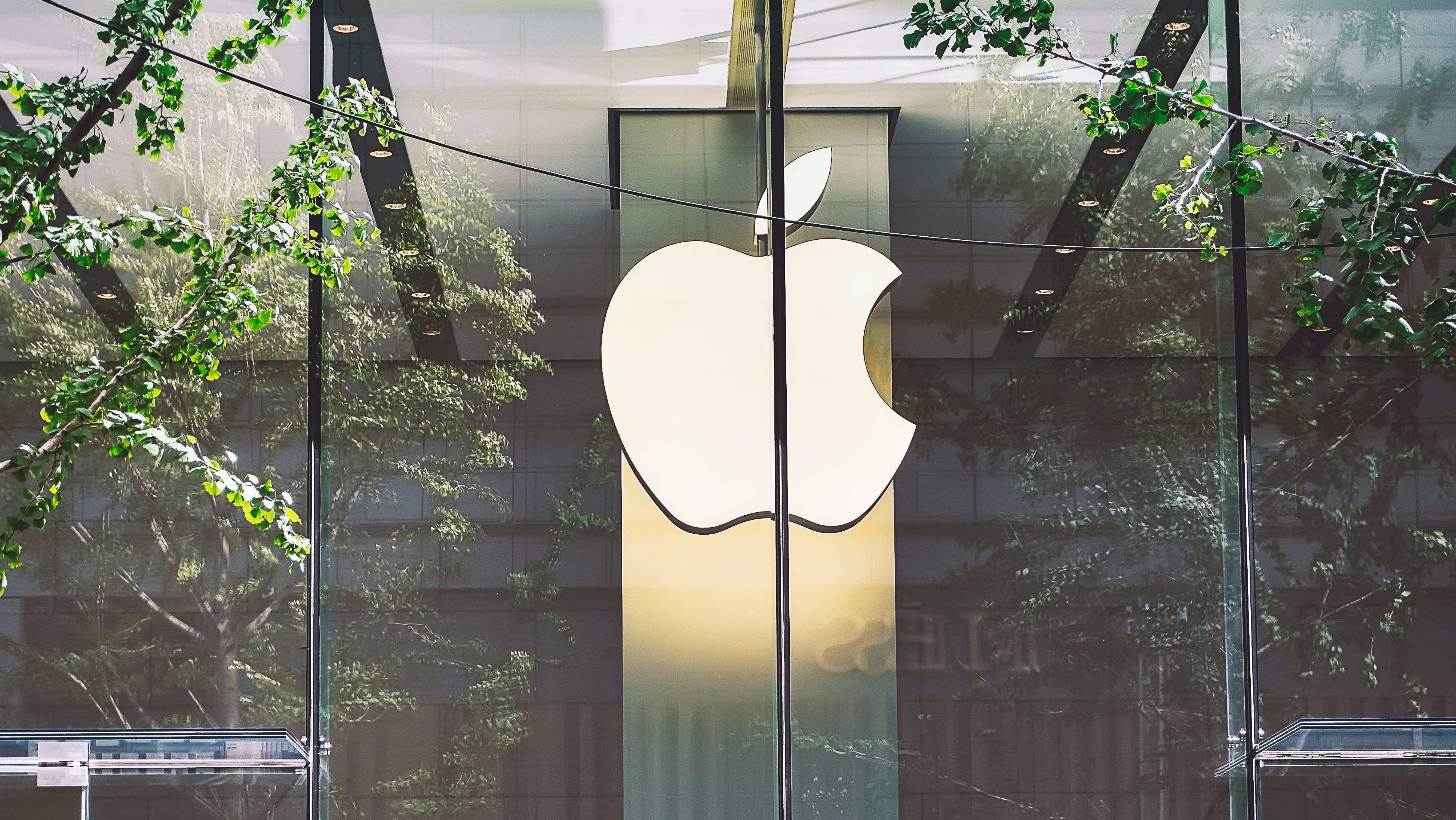 Apple store with apple logo on windows.